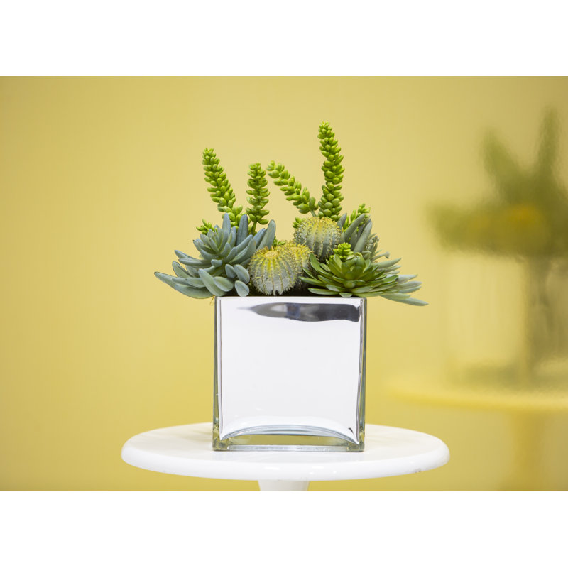 Brayden Studio® 15'' Faux Cactus Plant in Glass Vase Wayfair